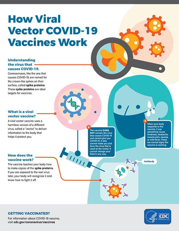 How Viral Vector COVID-19 Vaccines Work