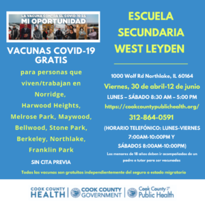 Spanish Leyden Instagram 5-6