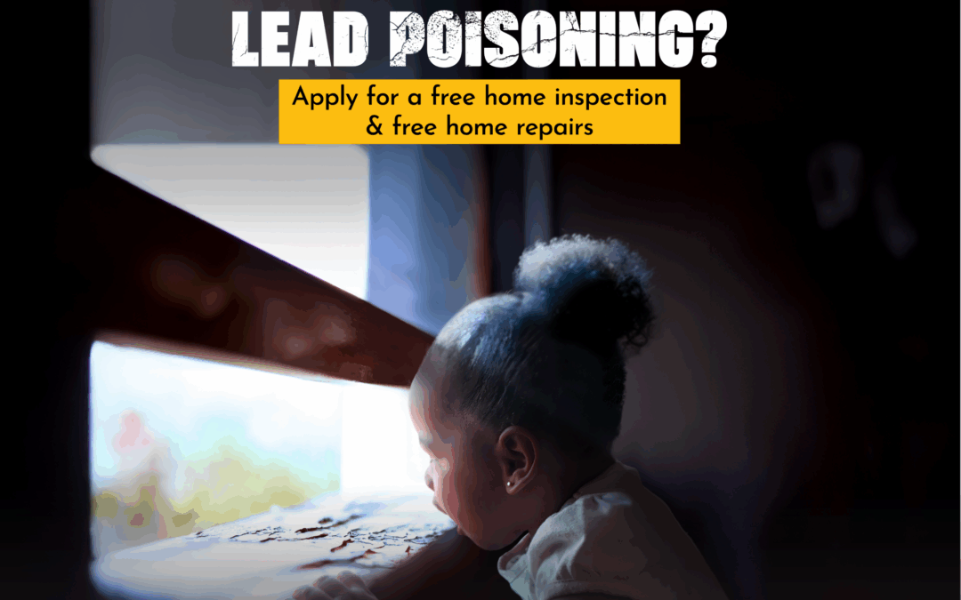 Cook County Launches Campaign to Promote Lead Removal Services