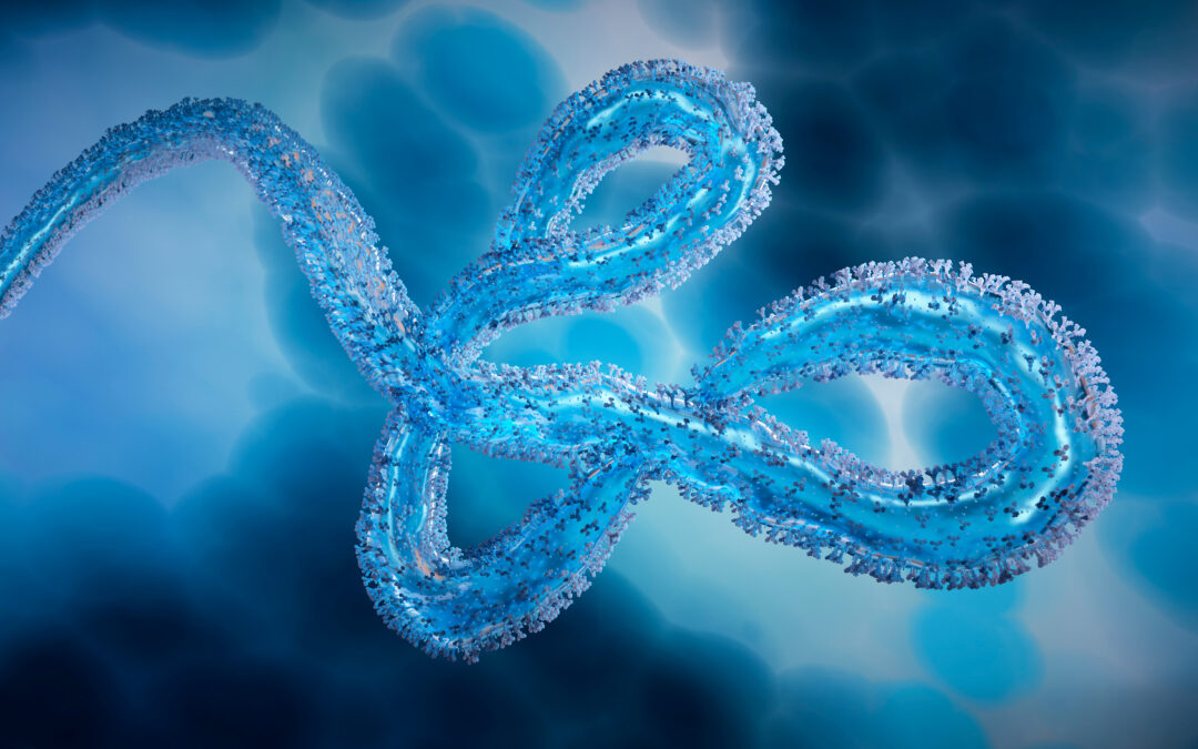 Ebola Frequently Asked Questions (FAQ)
