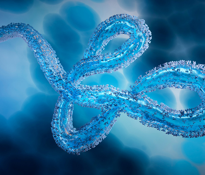 ebola